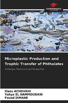 Microplastic Production and Trophic Transfer of Phthalates