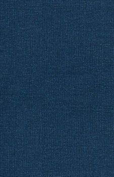 Expert Financial Analysis