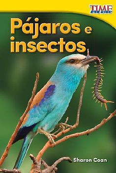 Pájaros E Insectos