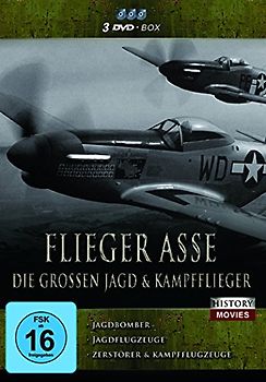 Flieger Asse-Die Grossen Jagd & Kampfflieger DVD
