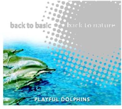 Various - Playful Dolphins