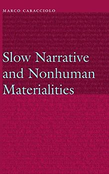Slow Narrative and Nonhuman Materialities (Frontiers of Narrative)