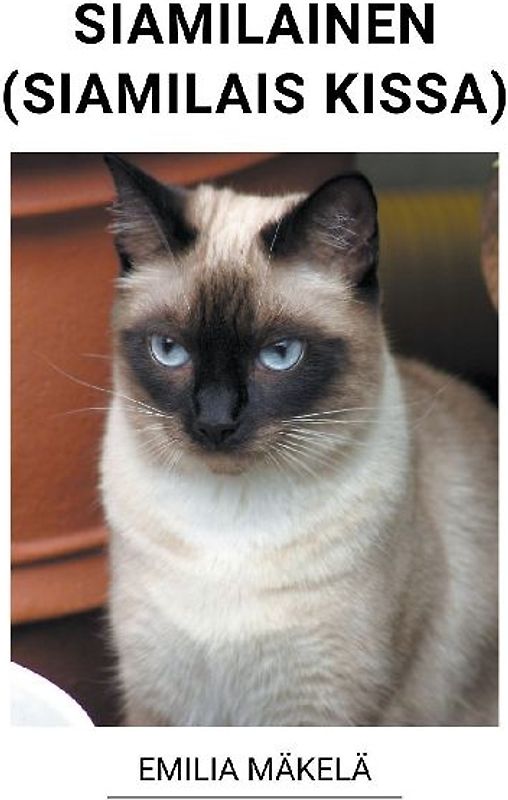 Siamilainen (Siamilais Kissa)
