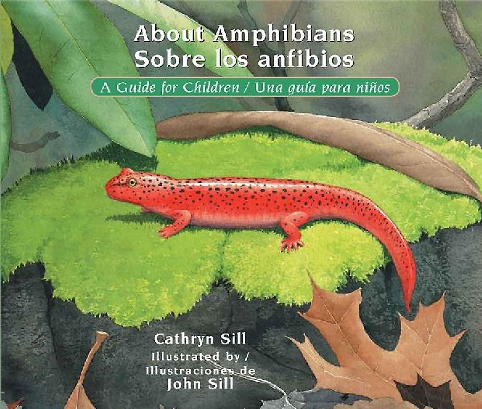 About Amphibians / Sobre Los Anfibios