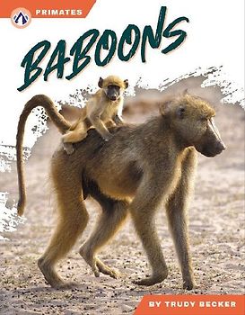 Baboons