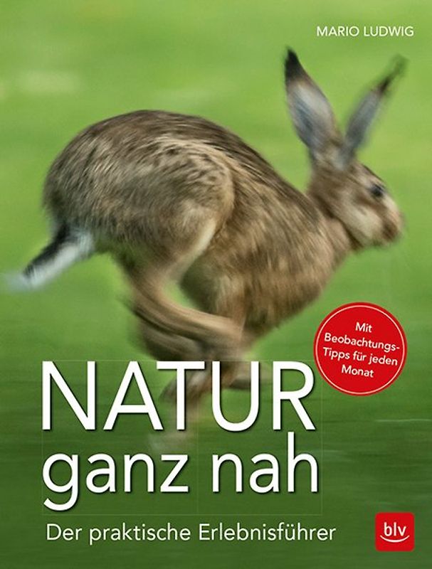 Natur ganz nah