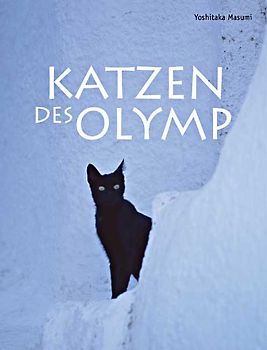 Katzen des Olymp