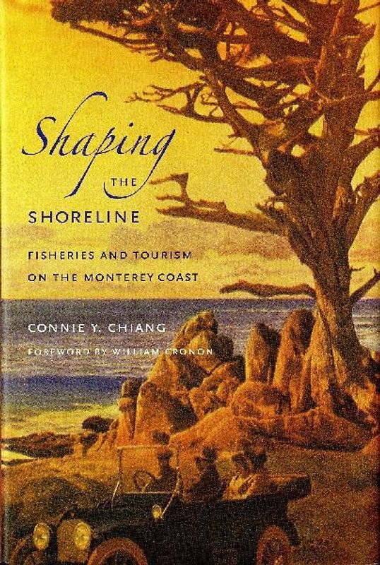 Shaping the Shoreline