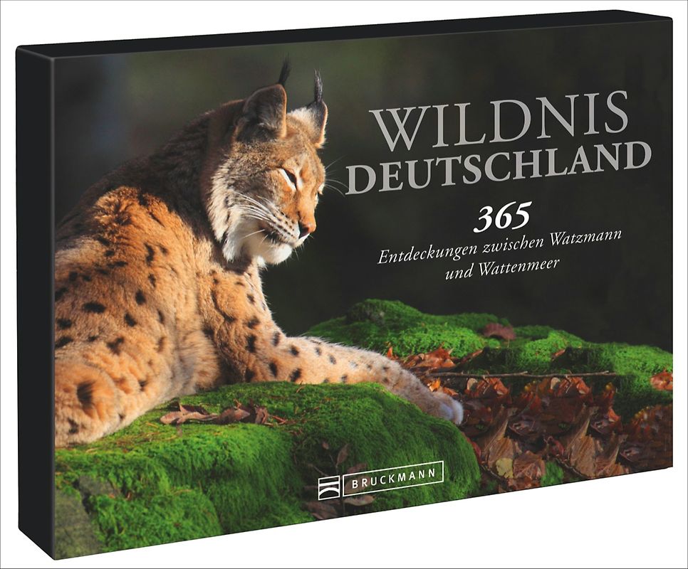 Tischaufsteller – Wildnis Deutschland