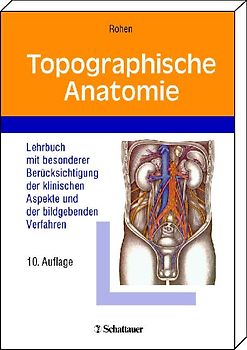 Topographische Anatomie