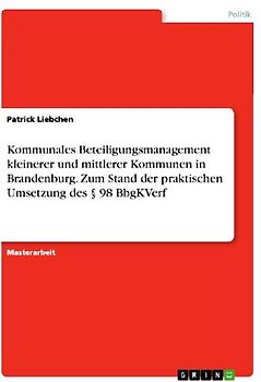 Kommunales Beteiligungsmanagement kleinerer und mittlerer Kommunen in Brandenburg. Zum Stand der praktischen Umsetzung des § 98 BbgKVerf