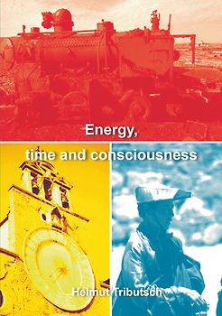 Energy, Time and Consciousness