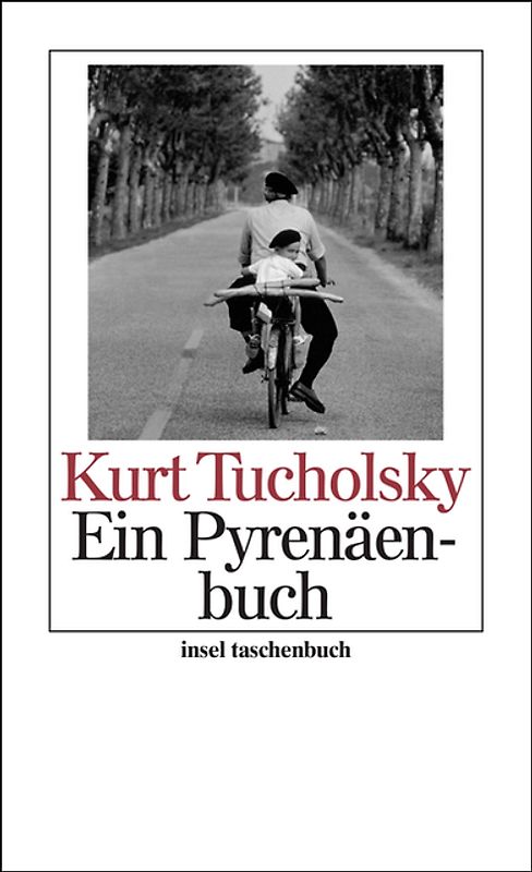 Ein Pyrenäenbuch