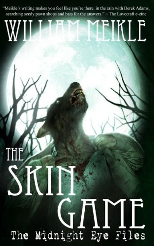 The Skin Game (The Midnight Eye Files, Band 3)