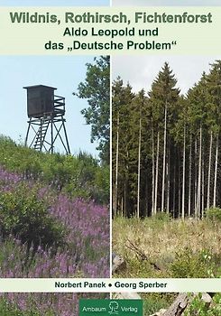 Wildnis, Rothirsch, Fichtenforst