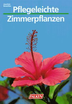Pflegeleichte Zimmerpflanzen