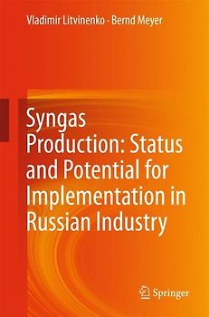 Syngas Production: Status and Potential for Implementation in Russian Industry