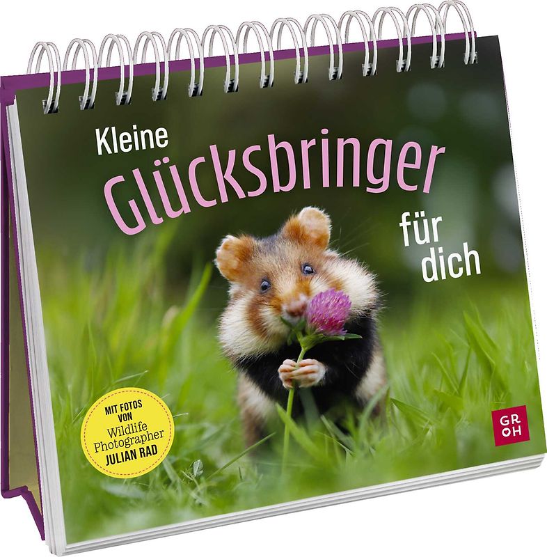 Kleine Glücksbringer für dich