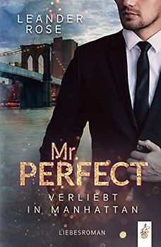 Mr.Perfect: Verliebt in Manhattan