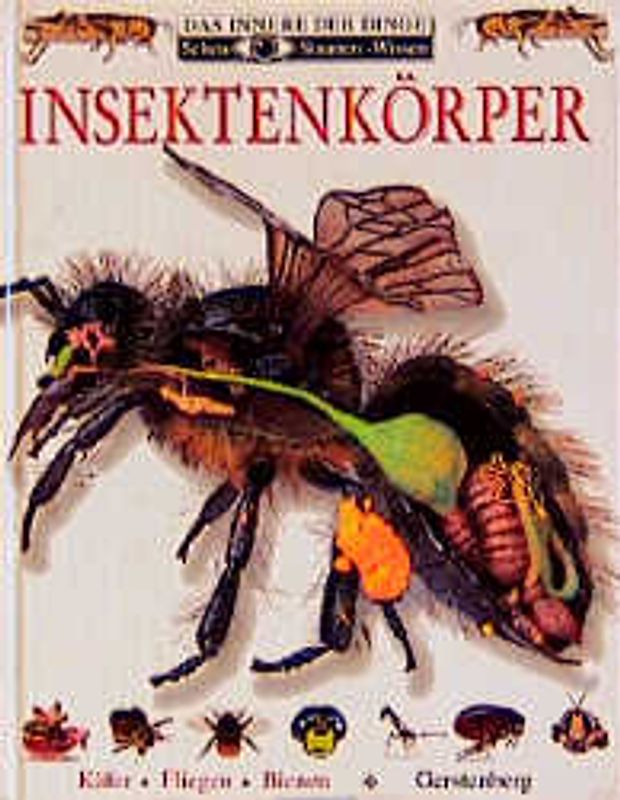 Insektenkörper