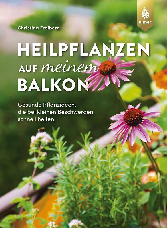 Heilpflanzen auf meinem Balkon