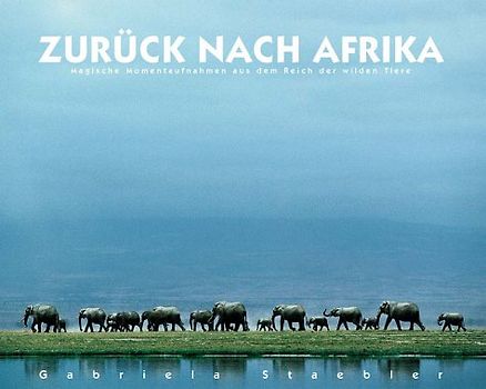 Zurück nach Afrika