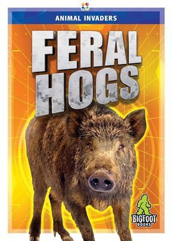 Feral Hogs