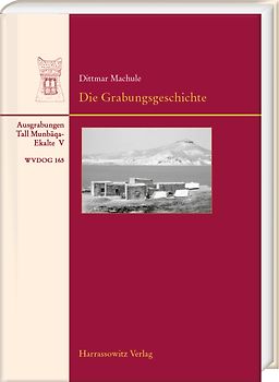 Die Grabungsgeschichte und ihre Hintergründe