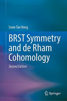 BRST Symmetry and de Rham Cohomology