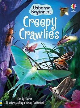 Creepy Crawlies (Beginners): 1