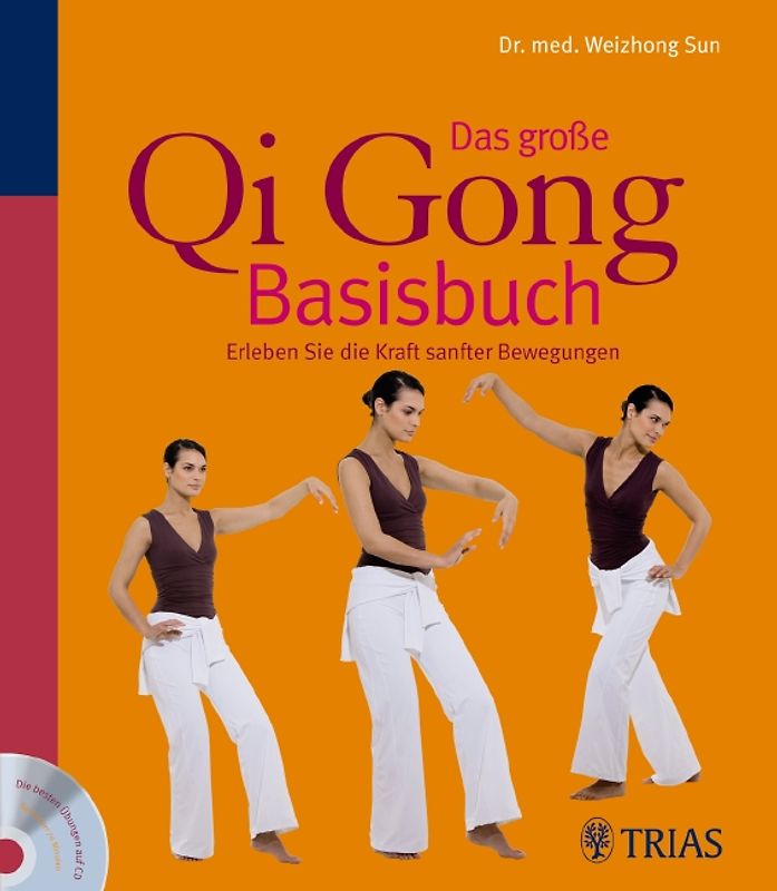 Das große Qi Gong Basisbuch