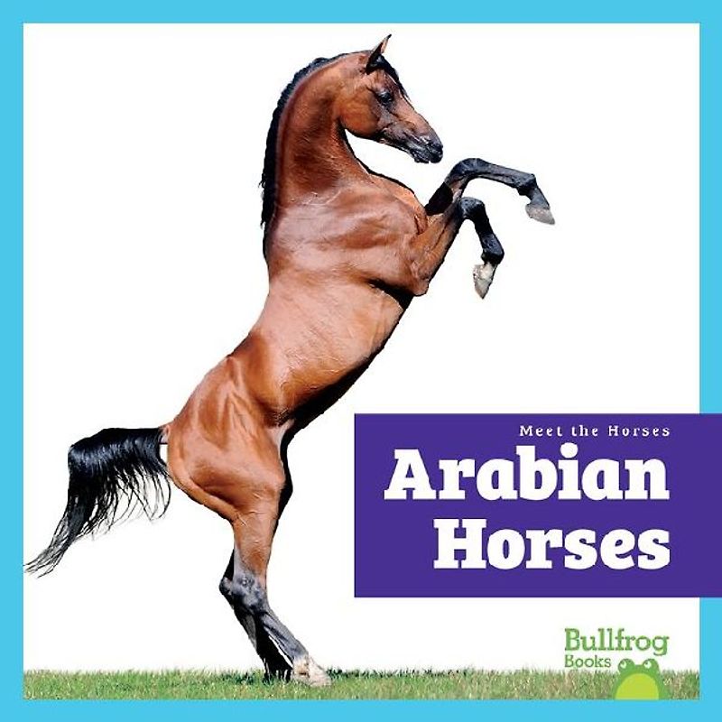 Arabian Horses