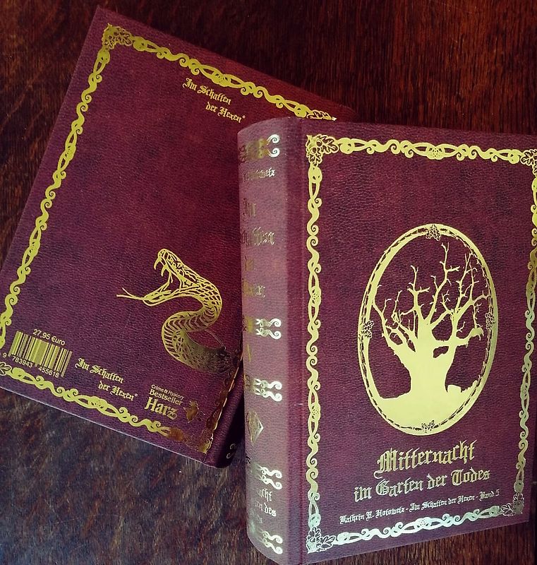 Im Schatten der Hexen V