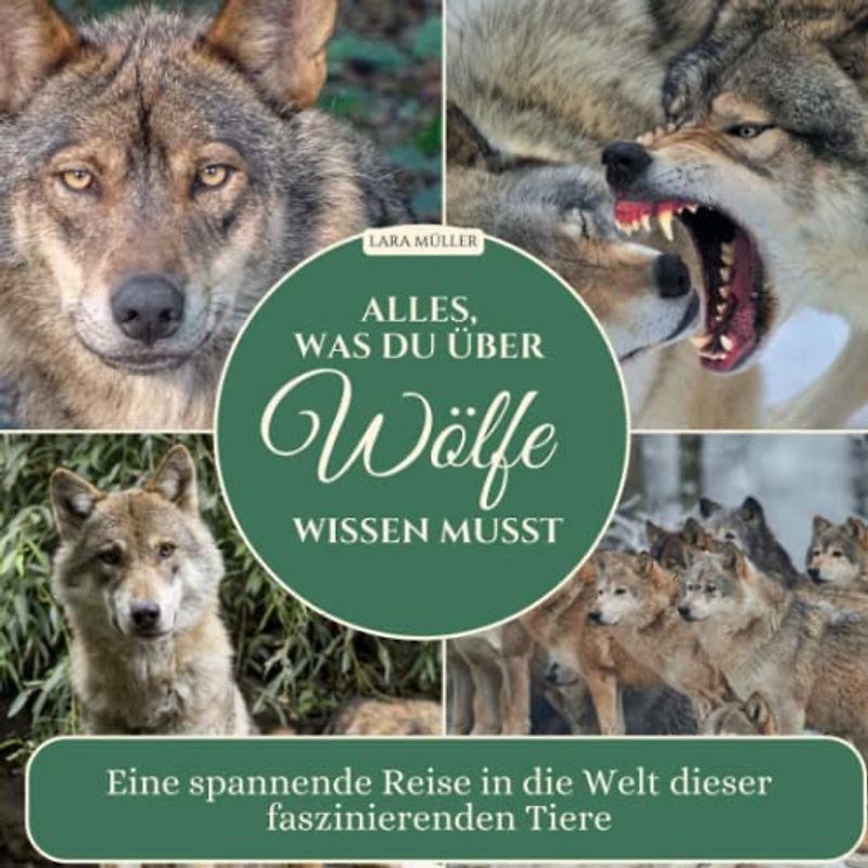 Alles, was du über Wölfe wissen musst