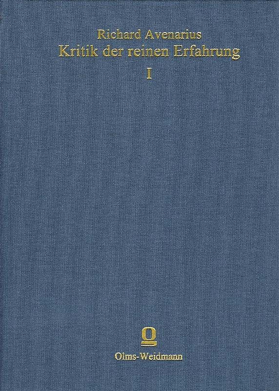 Kritik der reinen Erfahrung