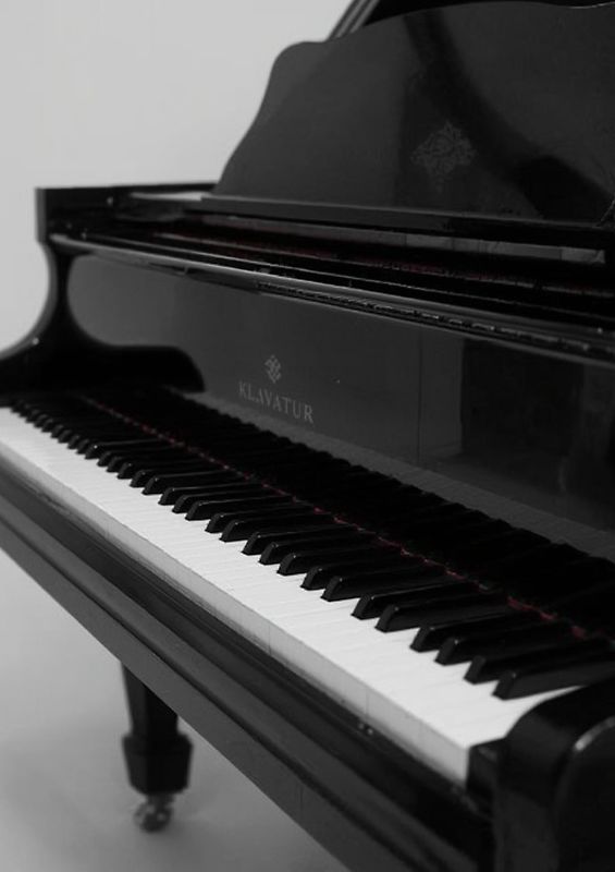 Music Booklet: DIN A4 Staff Book | 46 Pages with 12 Staves / Systems per Sheet | Paper 90g/m²