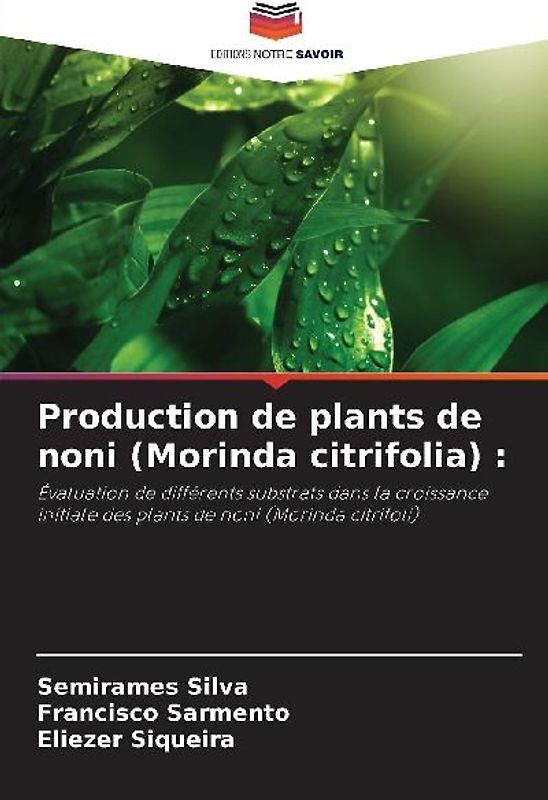 Production de plants de noni (Morinda citrifolia) :