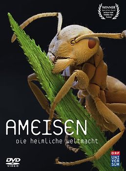 Ameisen - Die heimliche Weltmacht DVD