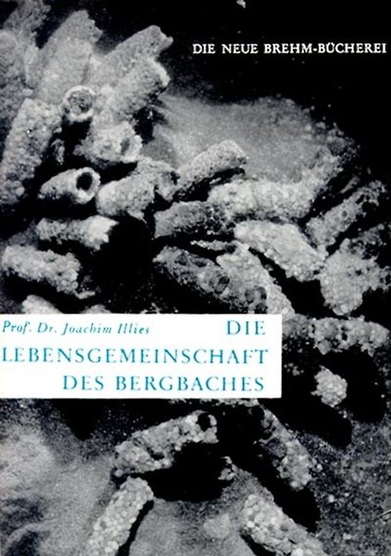 Die Lebensgemeinschaft des Bergbaches