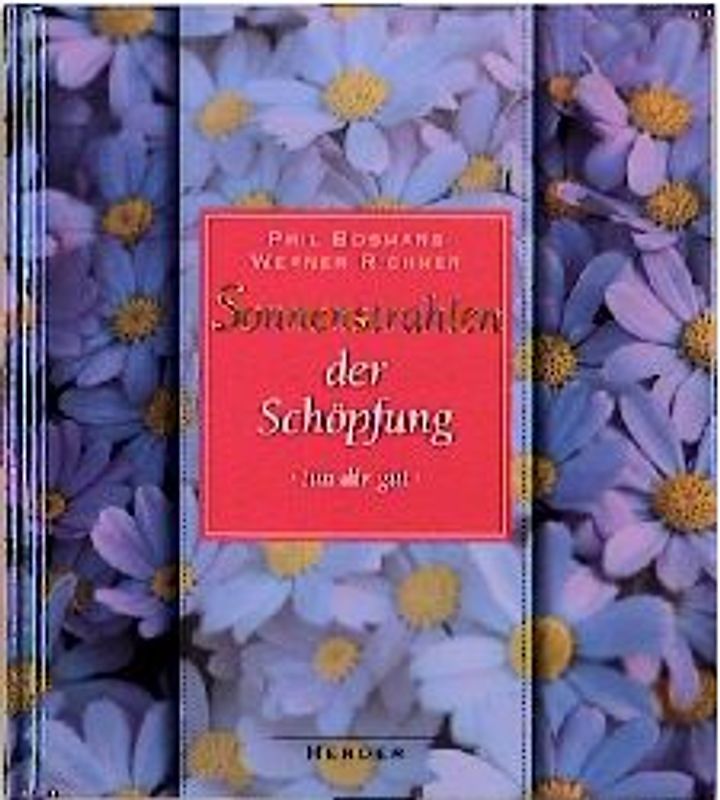 Sonnenstrahlen der Schöpfung