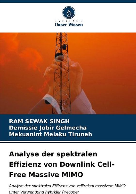Analyse der spektralen Effizienz von Downlink Cell-Free Massive MIMO