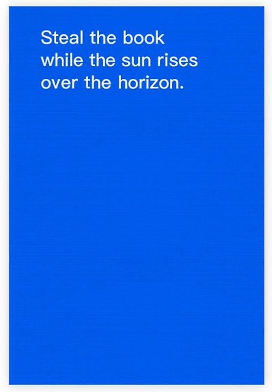 How to shoplift books