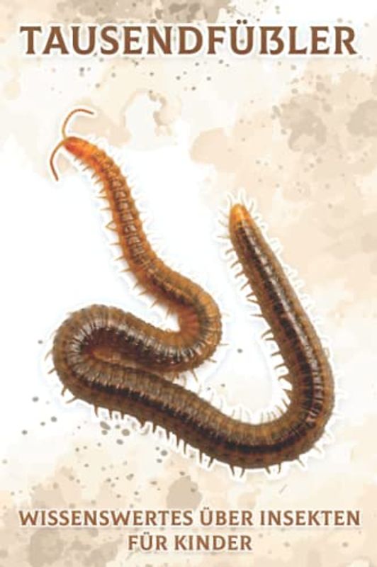 Tausendfüßler: Wissenswertes über Insekten für Kinder #12