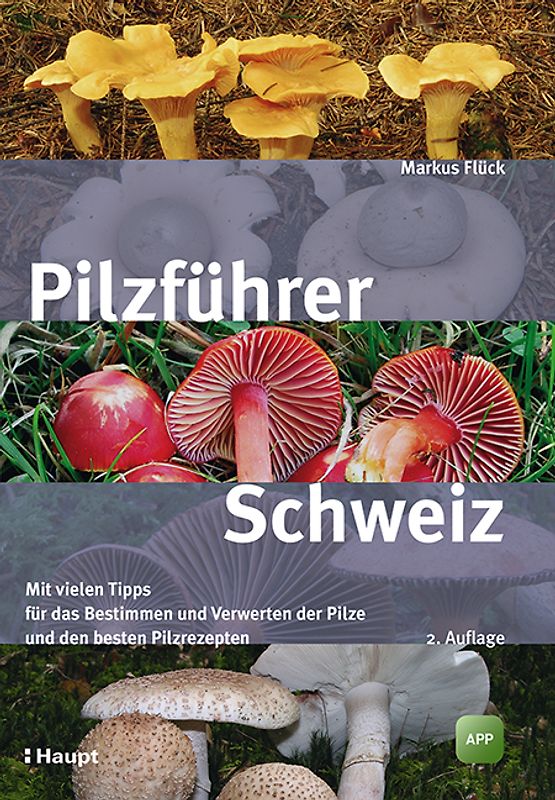 Pilzführer Schweiz