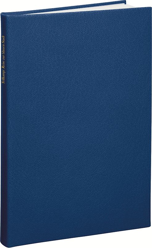 Reise zur blauen Stadt