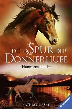 Die Spur der Donnerhufe, Band 1: Flammenschlucht