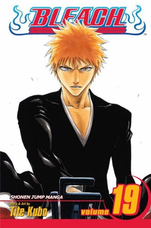 Bleach, Vol. 19: v. 19 - Tite Kubo