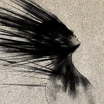 Erlen Meyer - Erlen Meyer