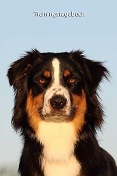 Trainingstagebuch: für Deinen Australian Shepherd - mit Vorlagen schnell und einfach das Training dokumentieren (Australian Shepherd - alle Bücher: ... Krankenakte und Welpentagebuch, Band 1)