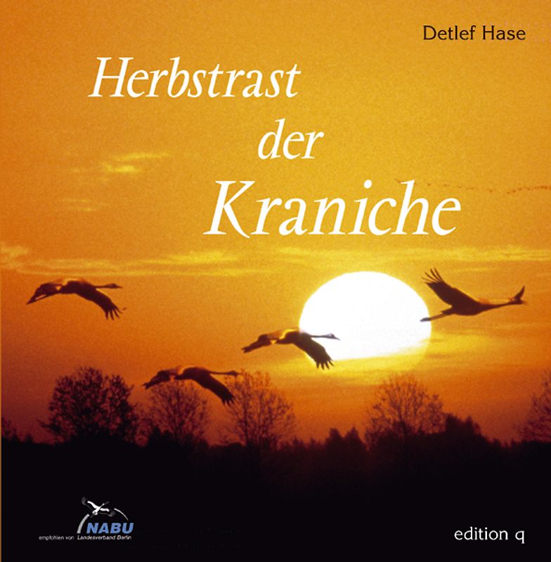 Herbstrast der Kraniche